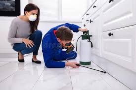 Reliable Boalsburg, PA Pest Control Solutions